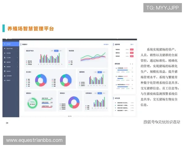 开云电脑版官网优化界面设计，提升用户操作体验与访问速度