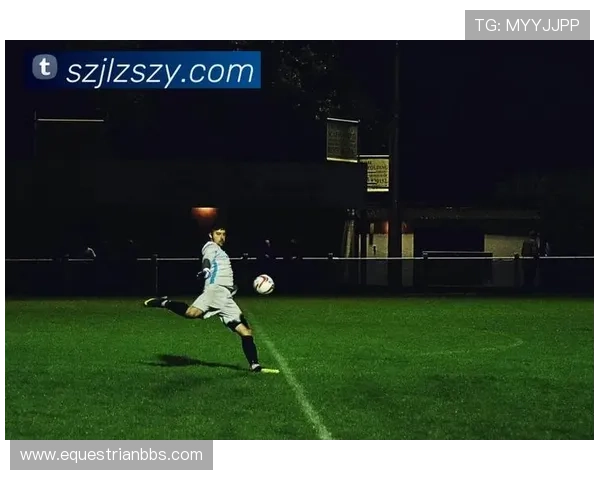 星空体育直营合作伙伴拓展实现资源共享共赢发展新局面